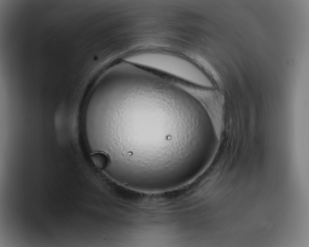 X0000093230487200710101406