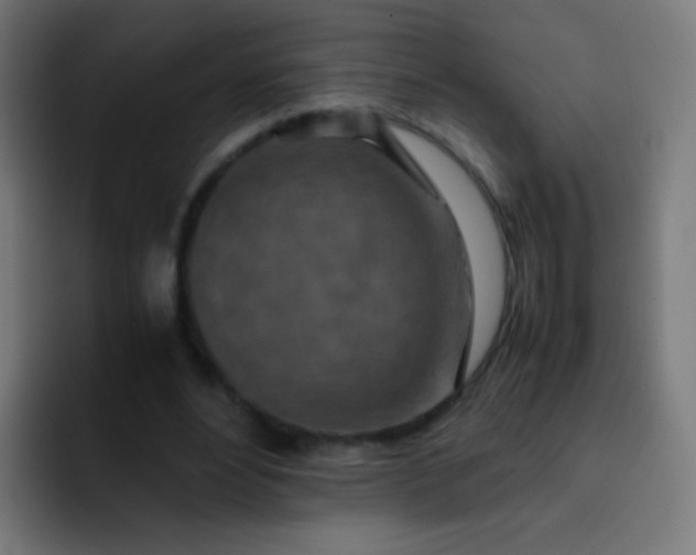 X0000093230488200710101406