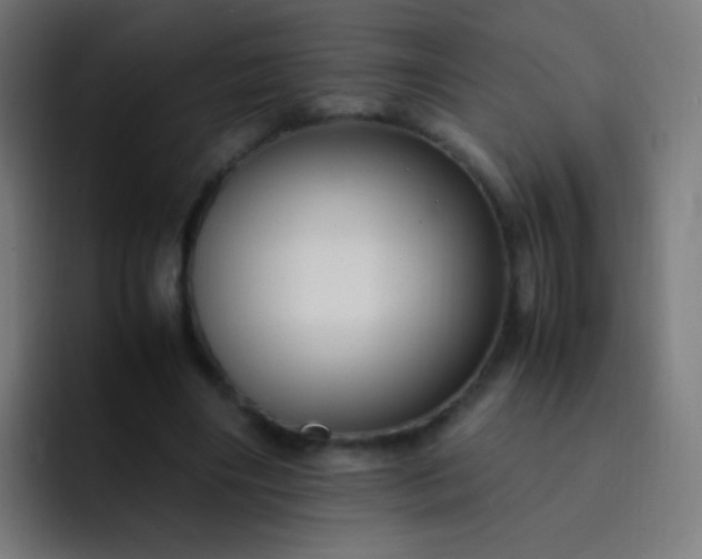 X0000093230490200710101406