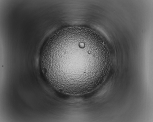 X0000093230491200710101406