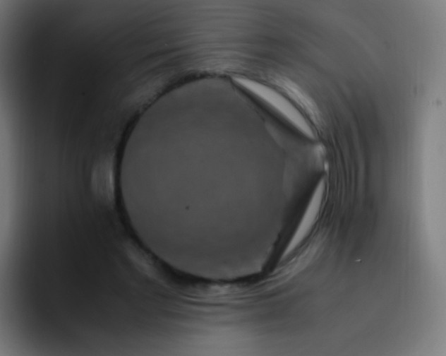 X0000093230493200710101406