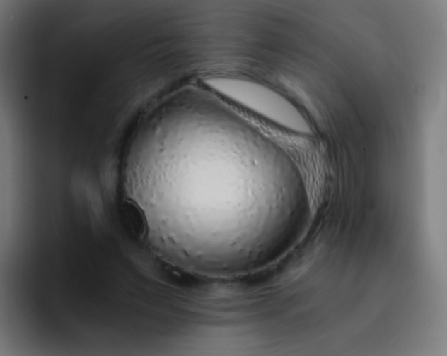 X0000093230495200710101406