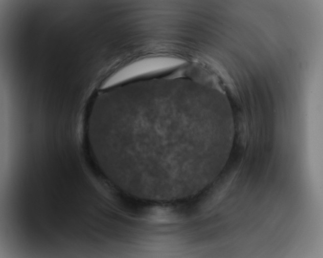 X0000093230496200710101406