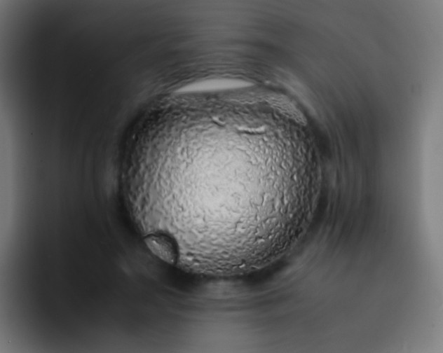 X0000093230499200710101406