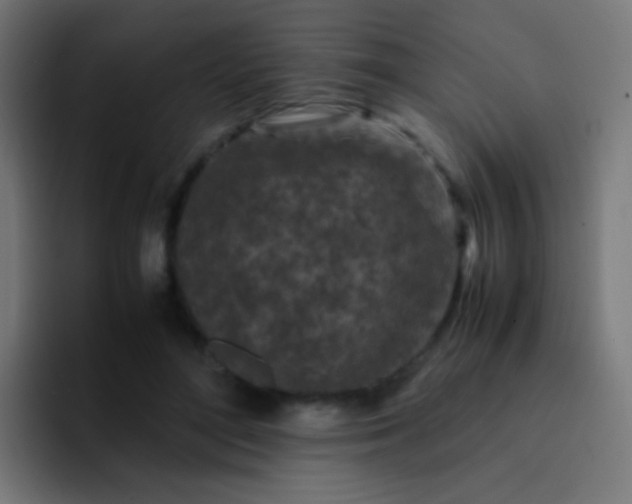 X0000093230500200710101406