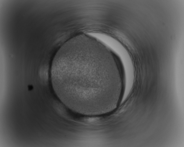 X0000093230501200710101406