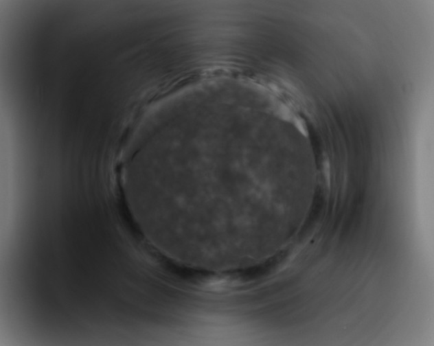 X0000093230504200710101406