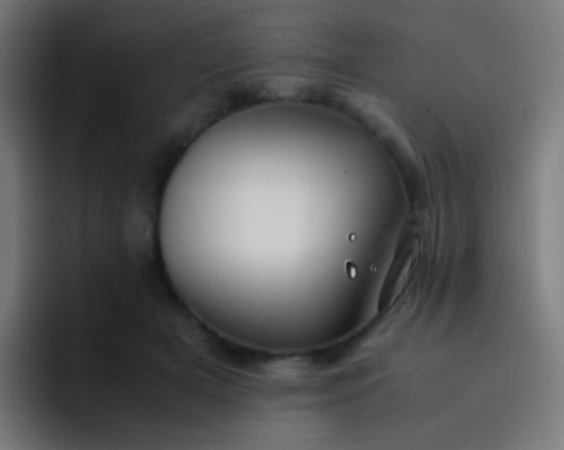 X0000093230505200710101406