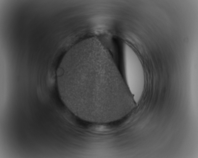 X0000093230507200710101406