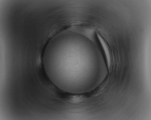 X0000093230508200710101406