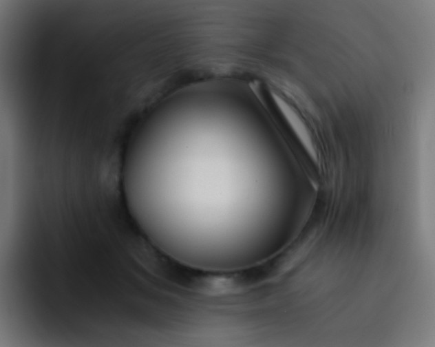 X0000093230509200710101406