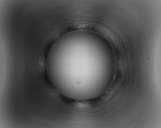 X0000093230510200710101406