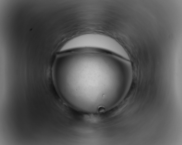 X0000093230511200710101406