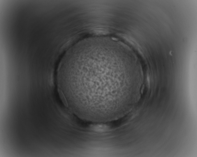 X0000093230512200710101406