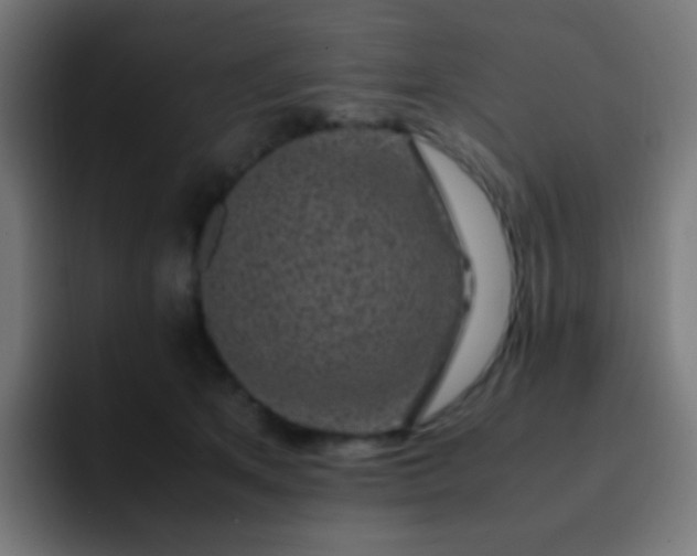 X0000093230513200710101406