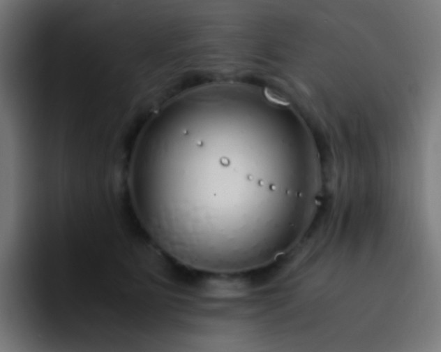 X0000093230515200710101406