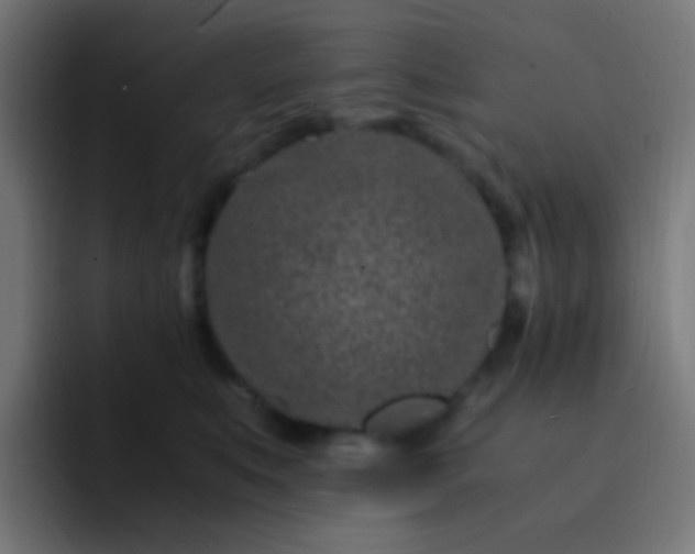 X0000093230519200710101406