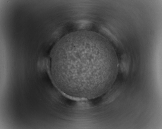 X0000093230520200710101406