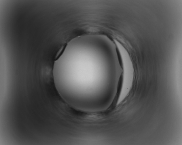 X0000093230521200710101406