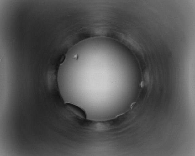 X0000093230522200710101406