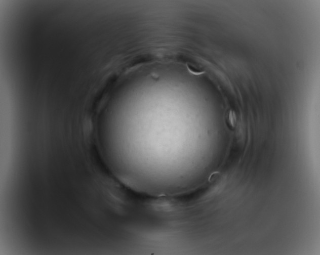 X0000093230523200710101406