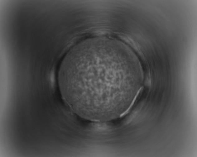 X0000093230524200710101406