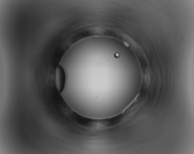 X0000093230525200710101406