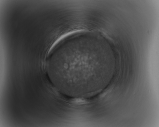 X0000093230528200710101406