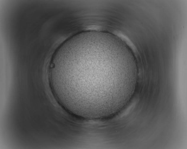 X0000093230529200710101405