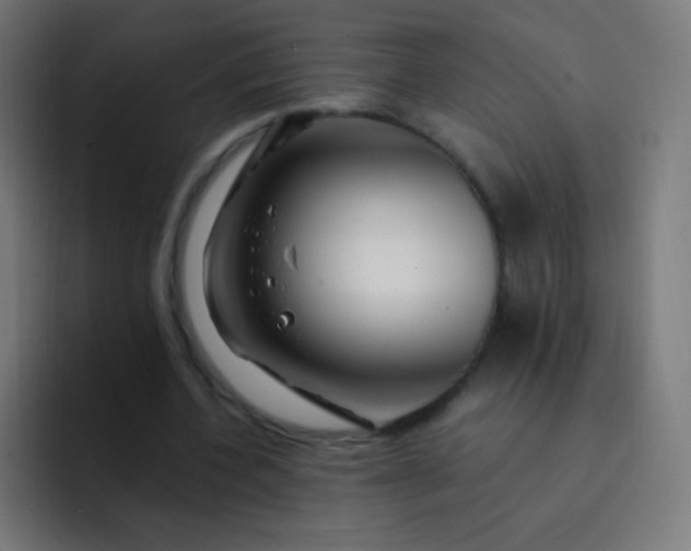 X0000093230532200710101405