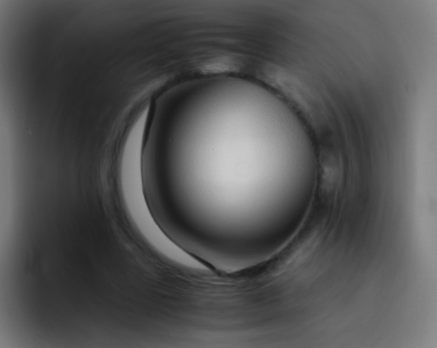 X0000093230539200710101405