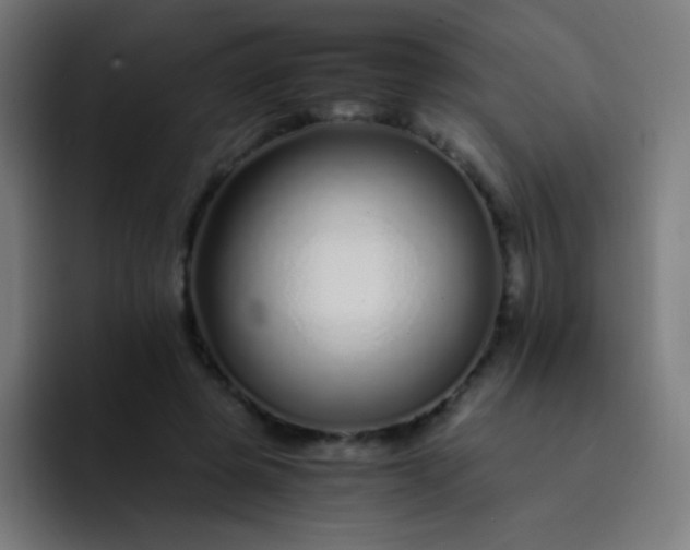 X0000093230545200710101405