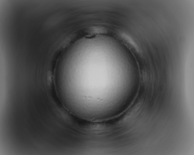 X0000093230549200710101405