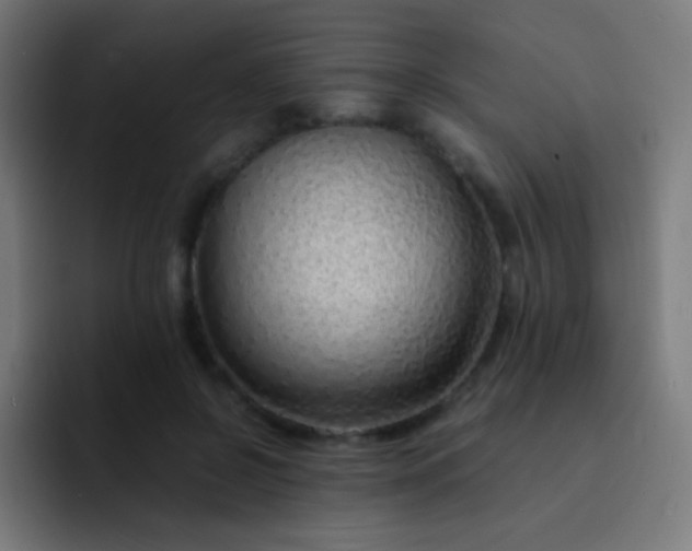 X0000093230550200710101405