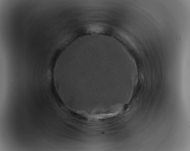 X0000093230551200710101405