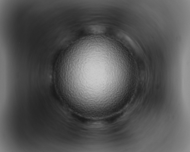 X0000093230553200710101405