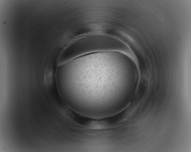 X0000093230556200710101406