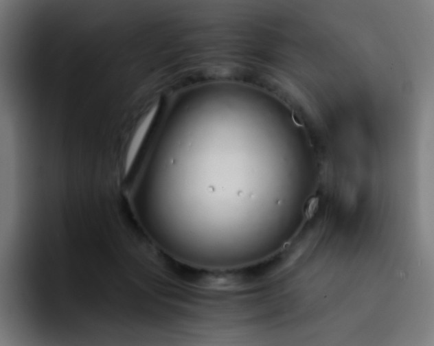 X0000093230557200710101406