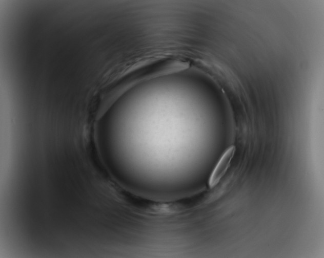 X0000093230558200710101406