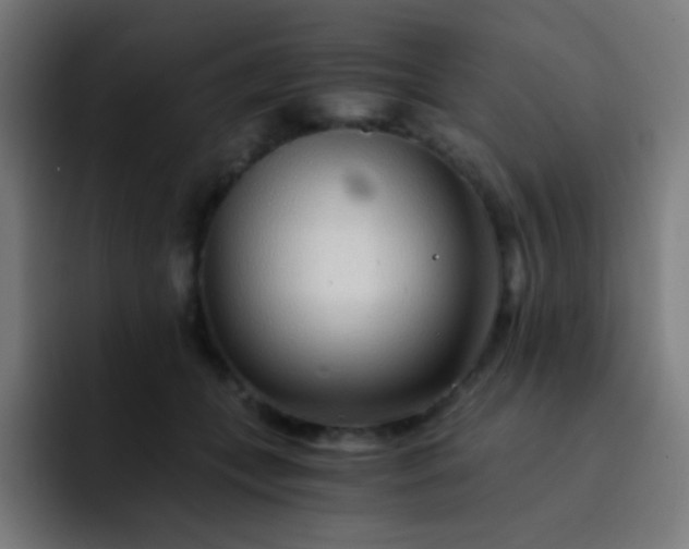 X0000093230559200710101406