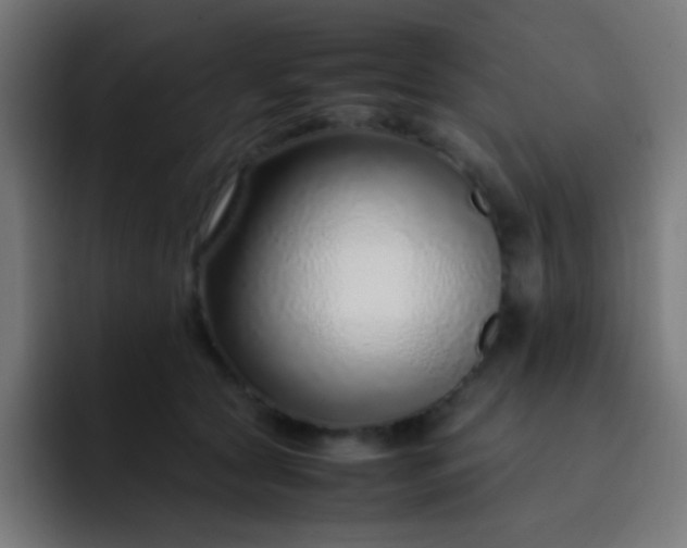 X0000093230561200710101406