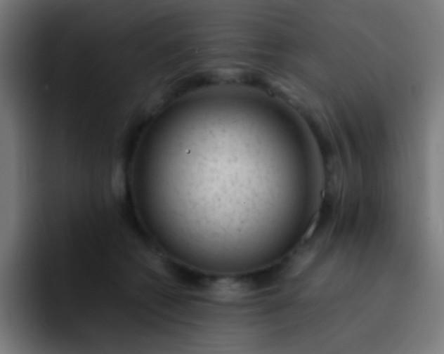 X0000093230562200710101406