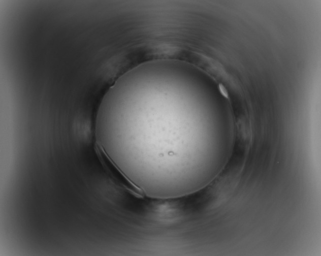 X0000093230564200710101406