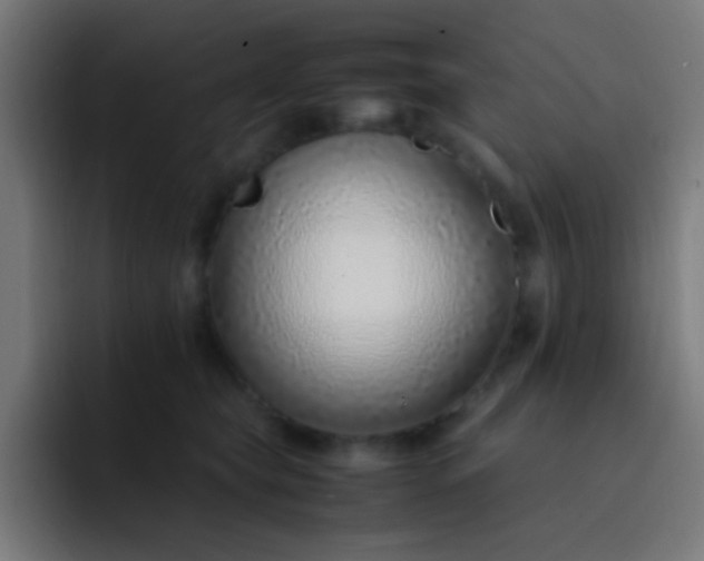 X0000093230565200710101406