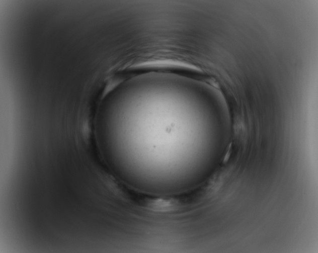 X0000093230566200710101406