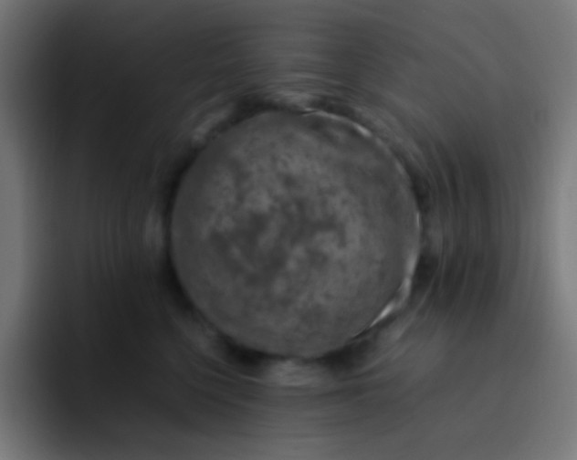 X0000093230568200710101406