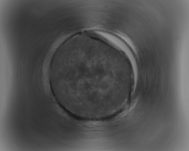 X0000093230577200710101405