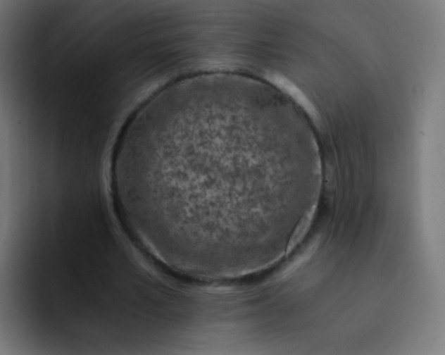 X0000093230581200710101405