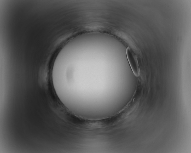 X0000093230583200710101405