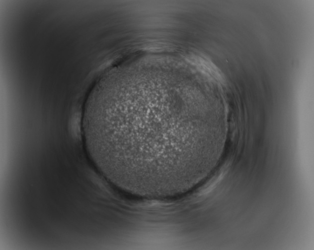 X0000093230585200710101405